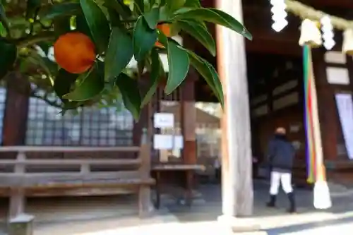 誉田八幡宮の本殿