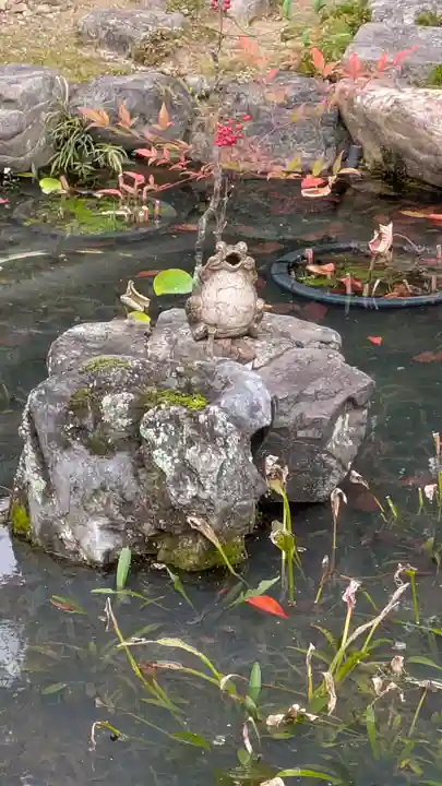 大圓寺(大円寺)(京都府)