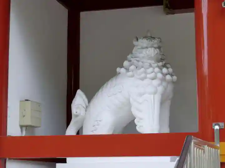 瀧泉寺(目黒不動尊)の狛犬