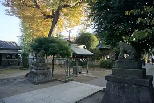 下石原八幡神社の狛犬