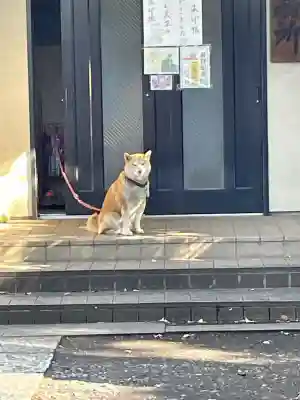 笠䅣稲荷神社(神奈川県)