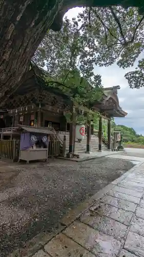 金刀比羅宮の本殿・本堂