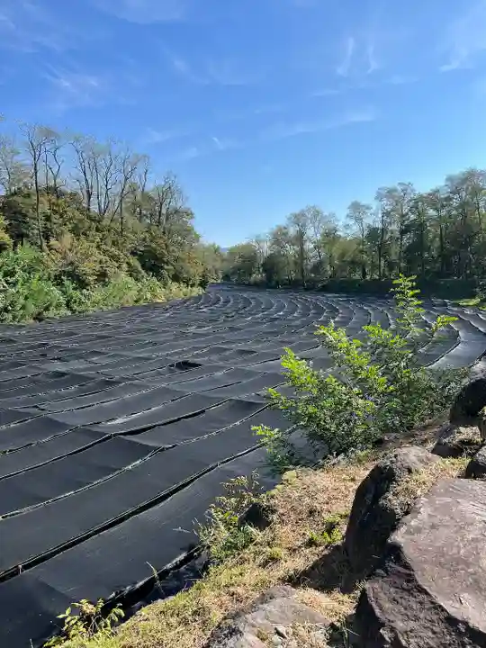 大王神社(長野県)