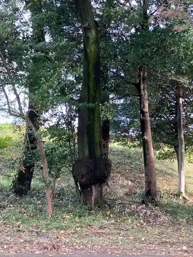 大明神社(愛知県)