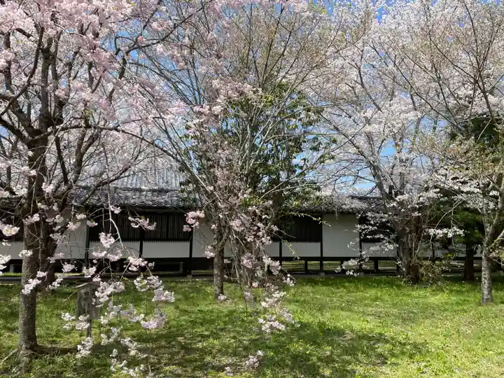 宝聚院(京都府)