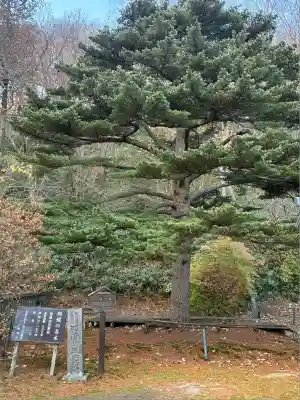 那須温泉神社のその他建物