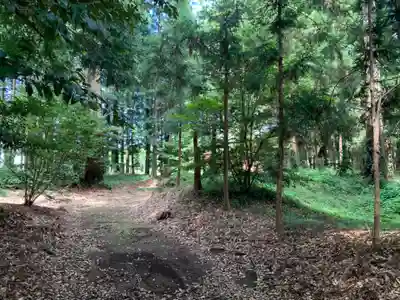 八坂神社の周辺