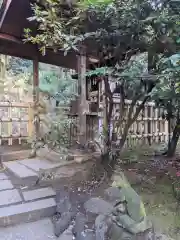 白金氷川神社の狛犬