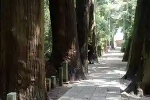 日吉神社のその他建物(2021年07月17日(土) 11時47分06秒投稿)