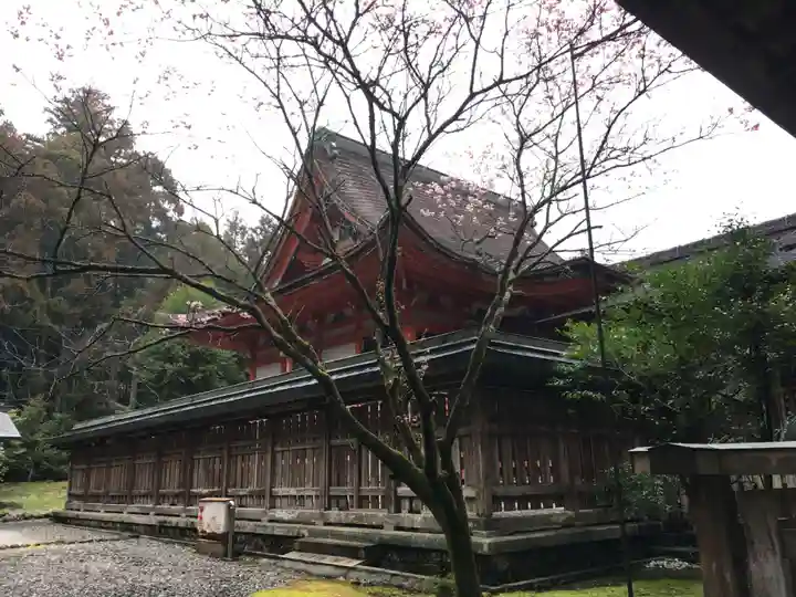 土佐神社の本殿・本堂