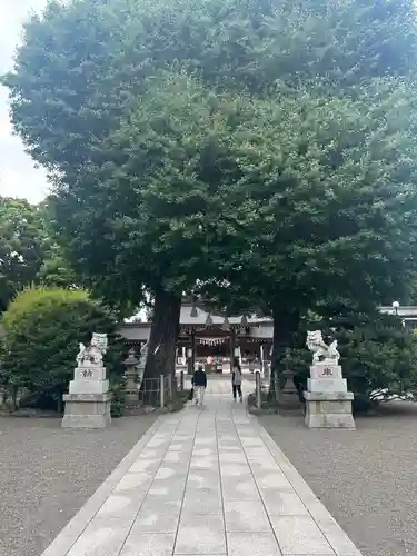 亀ケ池八幡宮(神奈川県)