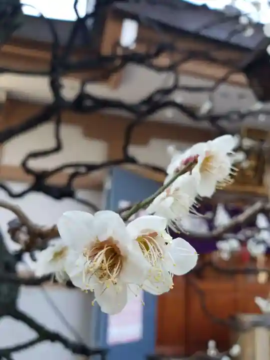 穏田神社(東京都)