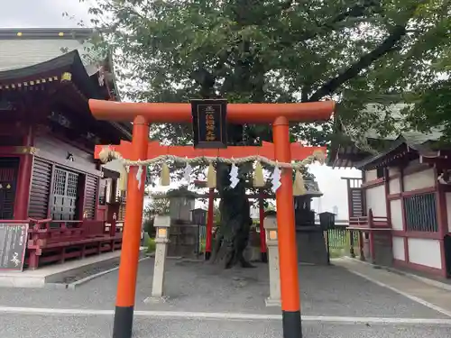 篠崎八幡神社(福岡県)