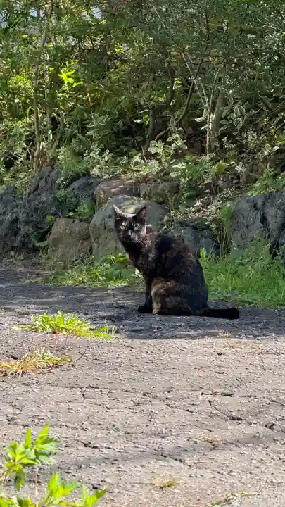 秋葉神社(北海道)