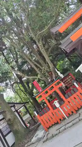 賀茂御祖神社（下鴨神社）(京都府)