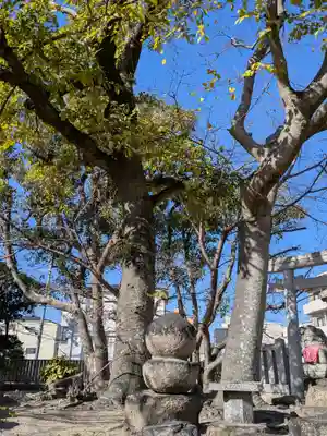 舞子六神社／まいこむの宮(兵庫県)