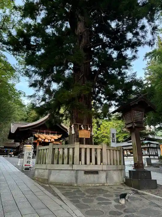 諏訪大社下社秋宮(長野県)