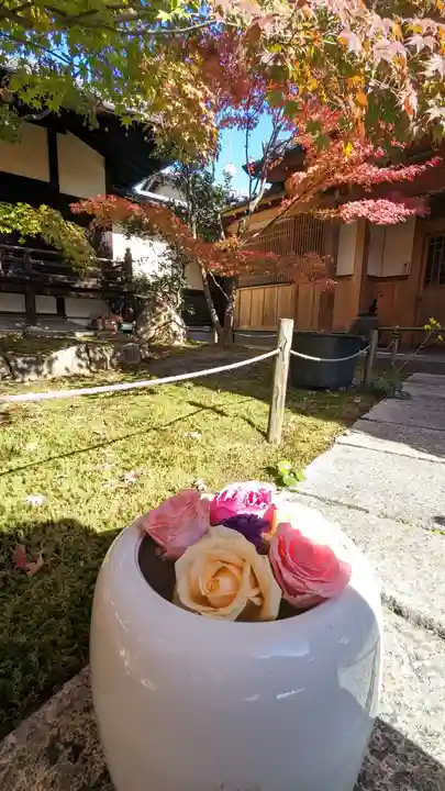 勝林寺(京都府)