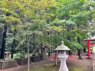 三社神社(千葉県)