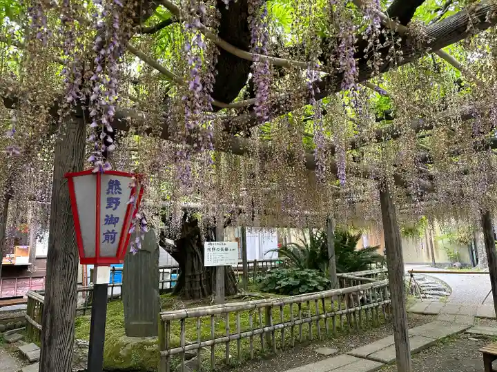 行興寺(静岡県)