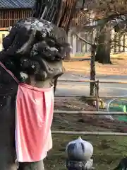 氷室神社の狛犬