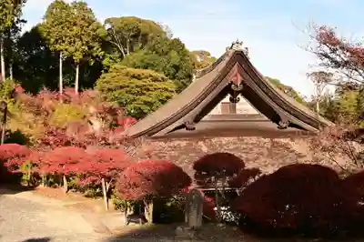 常樂寺(滋賀県)