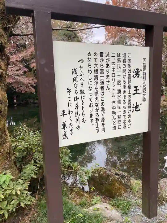 富士山本宮浅間大社(静岡県)