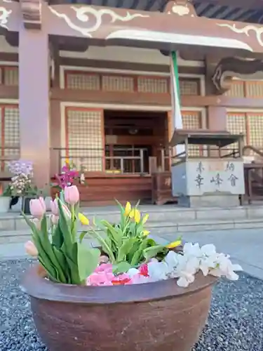 釋迦院（釈迦院）(大阪府)