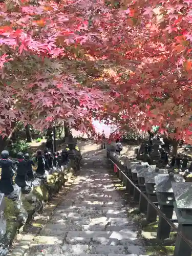 大山寺の景色