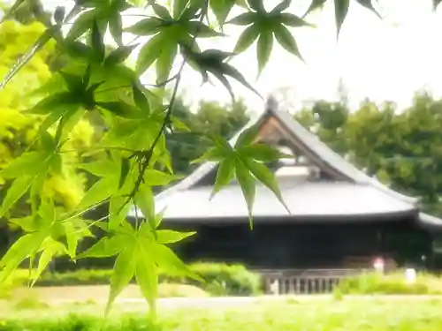 陸奥国分寺薬師堂の自然