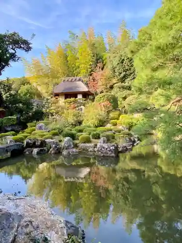 等持院の庭園