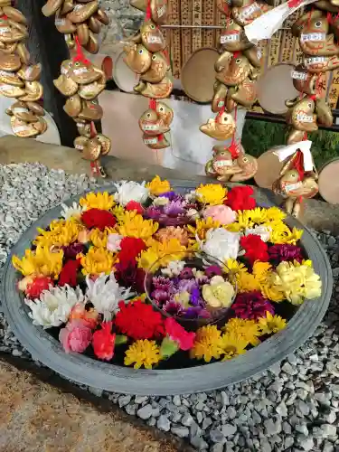 埼玉厄除け開運大師・龍泉寺（切り絵御朱印発祥の寺）の{uncategorized: "未分類", other: "その他", undefined: "問題あり", building: "その他建物", grave: "お墓", sacred_gate: "鳥居", guardian: "狛犬", statue: "像", buddha: "仏像", history: "歴史", nature: "自然", garden: "庭園", animal: "動物", pagoda: "塔", temizu: "手水舎", mountain_gate: "山門・神門", sanctuary: "本殿・本堂", subordinate: "末社・摂社", art: "芸術", scenery: "景色", jizo: "地蔵", ema: "絵馬", goshuin: "御朱印", omikuji: "おみくじ", items: "授与品その他", amulet: "お守り", goshuincho: "御朱印帳", eats: "食事", festival: "お祭り", votive_dance: "神楽", shichigosan: "七五三参", wedding: "結婚式", experience: "体験その他", initially: "初詣", around: "周辺", anti_infection: "感染症対策"}