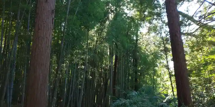 伏見神宝神社の周辺