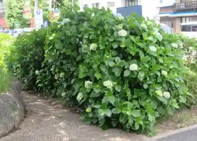 外川神社(神奈川県)