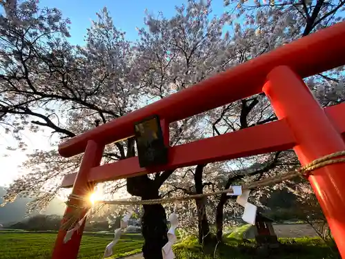 天神宮(伝河原氏屋敷跡)の鳥居