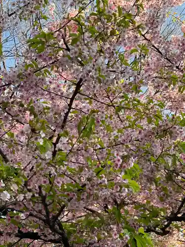五條天神社(東京都)