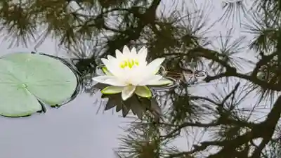 平安神宮(京都府)