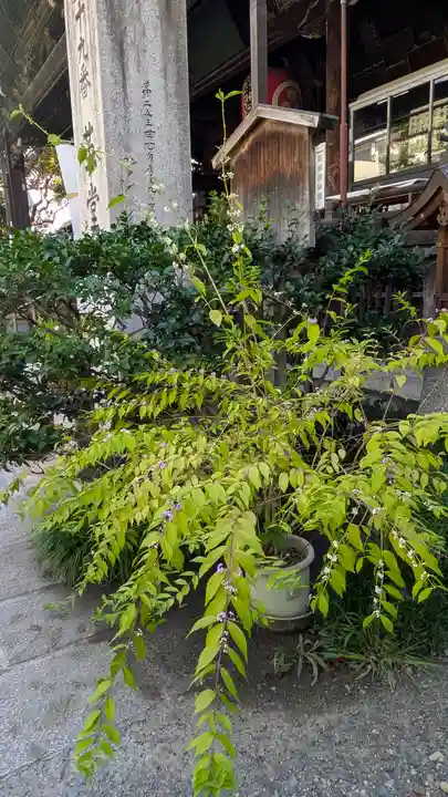 行願寺(革堂)(京都府)