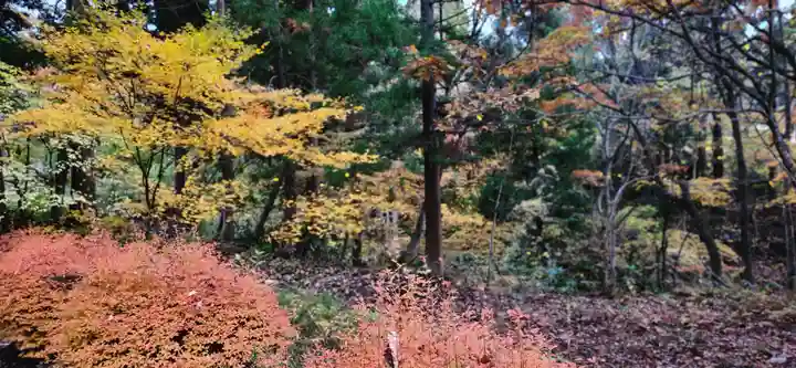 高野山観音堂の周辺