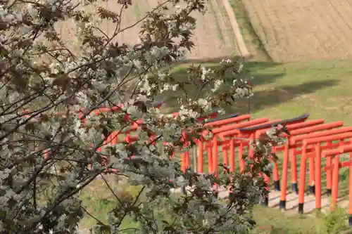 高屋敷稲荷神社の景色