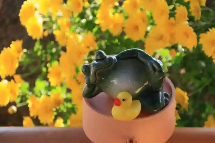 阿久津「田村神社」(郡山市阿久津町)旧社名:伊豆箱根三嶋三社の手水舎