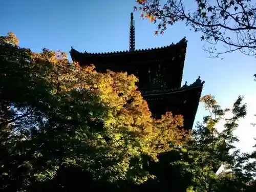 真正極楽寺（真如堂）の建物その他