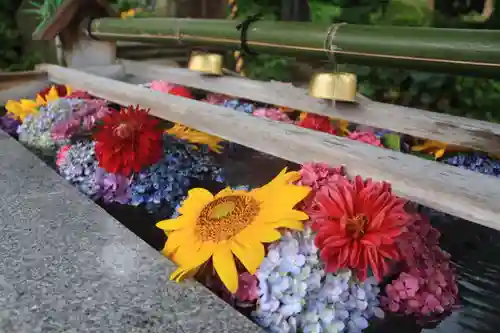 豊景神社の手水