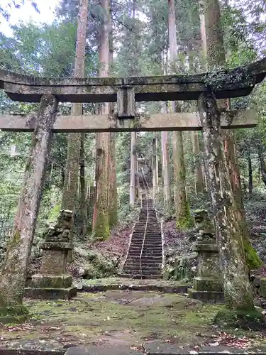 瀧神社(岐阜県)