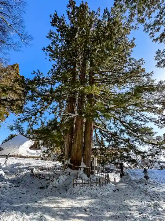戸隠神社中社(長野県)