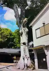 素盞嗚神社(奈良県)