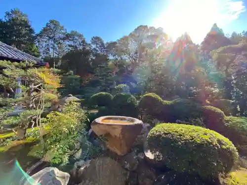 即宗院の庭園