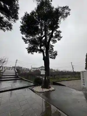 西寒多神社(大分県)