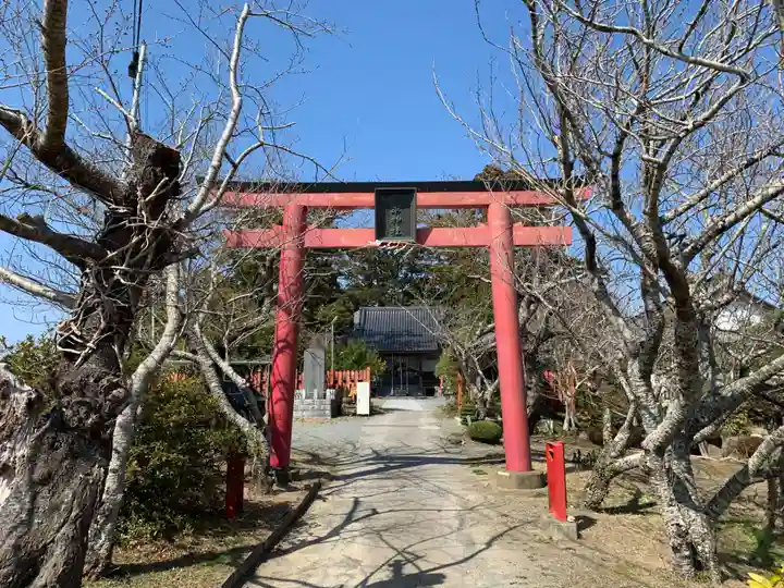 琴平神社の鳥居