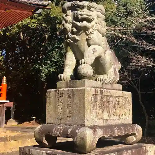 山中八幡宮の狛犬